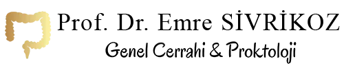 Prof. Dr. Emre Sivrikoz
